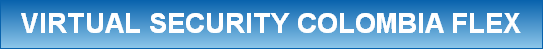 VIRTUAL SECURITY COLOMBIA FLEX